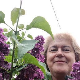 , 60, 