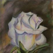 , 41 , 