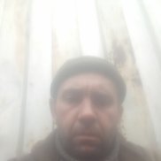 , 41 , 