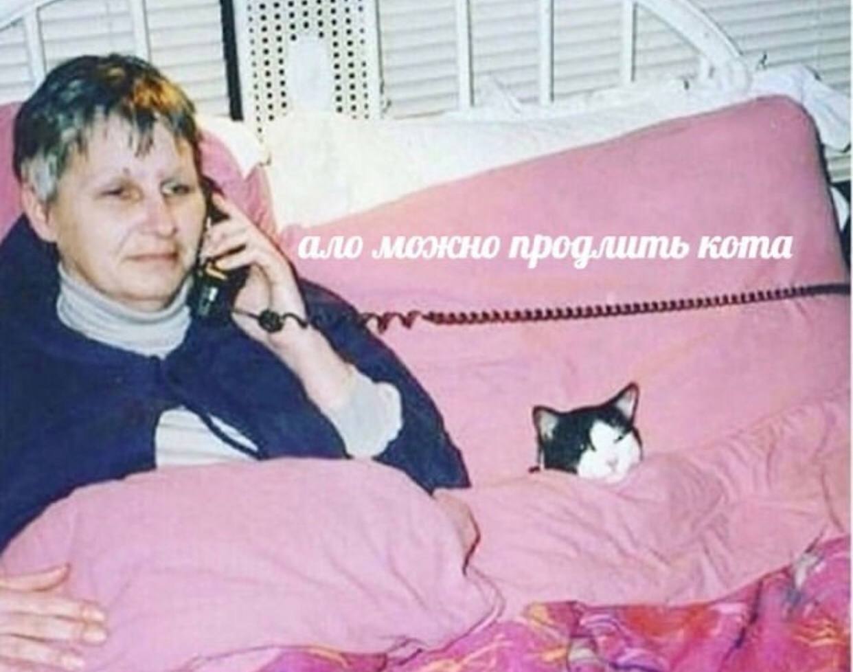    - 9  2024  22:41