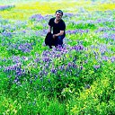���� Arman, ������, 44 ���� - ��������� 20 ������� 2024