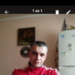, 41, 