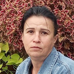 ��������, ������, 50 ���