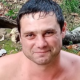 �����, ���������