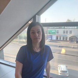 ���� ����, ��������, 42 ���� - ��������� 17 ����� 2026