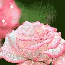 ����������, �������, 68 ���