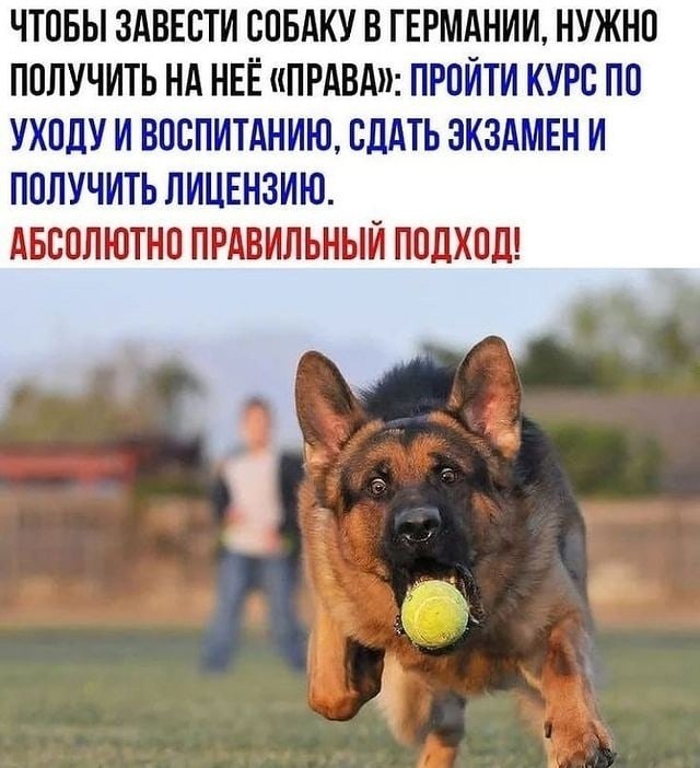   !