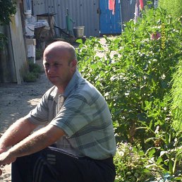 ������, 50 ���, ����