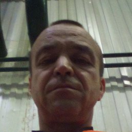 ����, ������, 41 ���