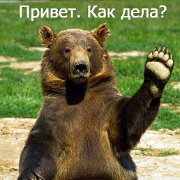 Orso C Wilami Mt, ����, 31 ���