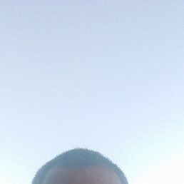 , 40, 