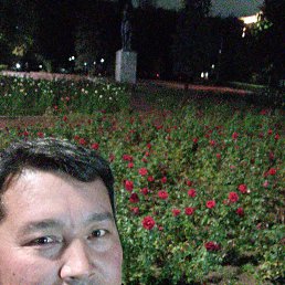 ATABEK, 40, 