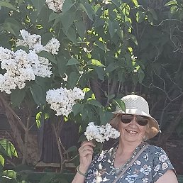 , 66, 