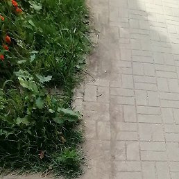 ������, ������, 53 ����