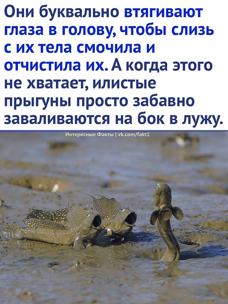  - 18  2023  17:13 - 3