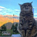 ���� �������, ����, 35 ��� - ��������� 10 ������� 2024 � ������ ���� ����������