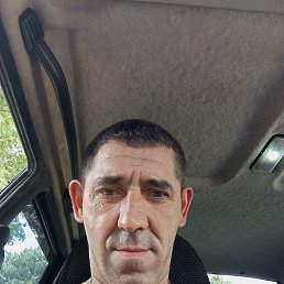 , 46, 