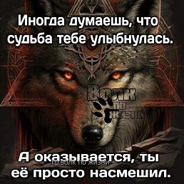 Evgenli, �����, 52 ����