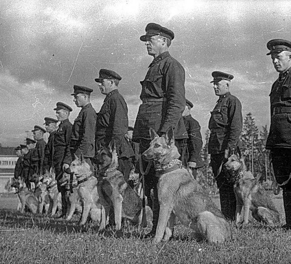 :) «Остановись и поклонись. Тут в июле 1941 года поднялись в последнюю атаку на врага бойцы ...