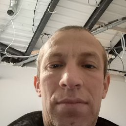 ����, �����-���������, 46 ���