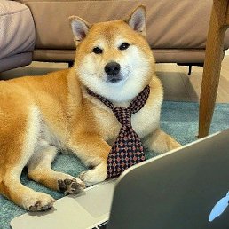 ���� ���������, ���� - ��������� 15 ������� 2025