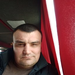 ���� ������, �������, 43 ���� - ��������� 13 ������� 2023