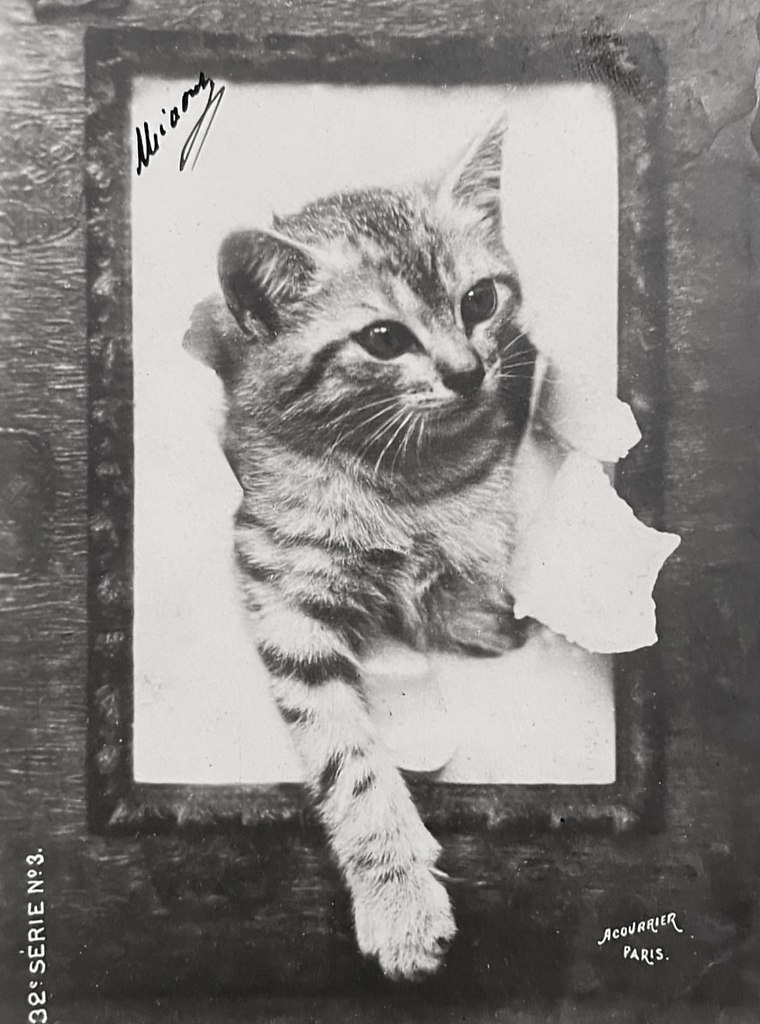    .       :  , , ... - 9