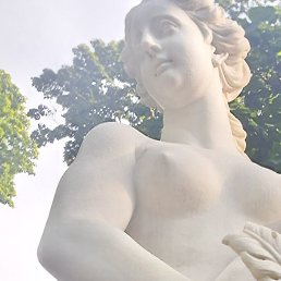 ������, ������, 40 ���