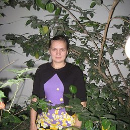 , 41, 