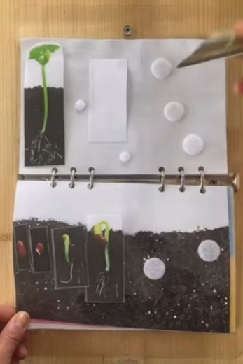   ! , , )! - 3