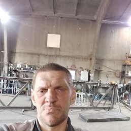 , 44, 