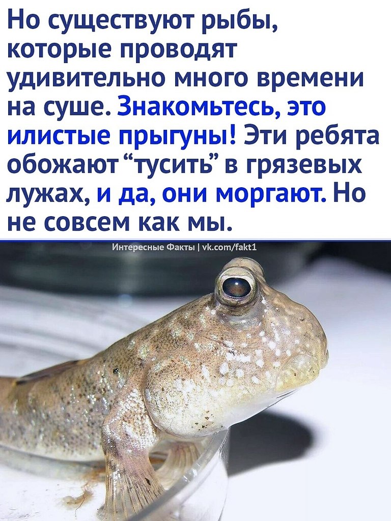  - 18  2023  17:13 - 2