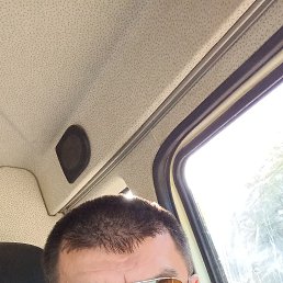 , 43, 