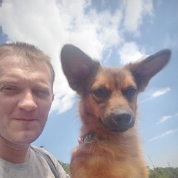 , 38, 
