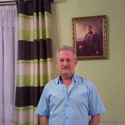 , 65, 