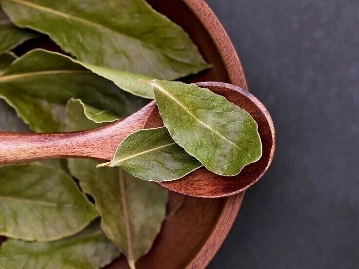    .    10  ,   300  ...