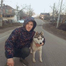 , 38 , 