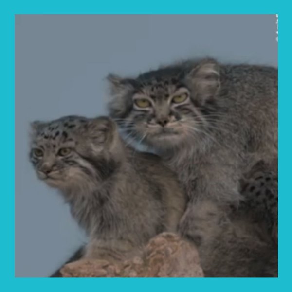 � �������� ����� �� ����� ����� ����� �������. ��� ���������� ������! ��������� � �������� ... - 2