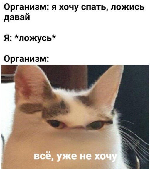    - 28  2023  17:27