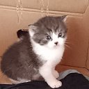 ���� �������, ������, 50 ��� - ��������� 14 ���� 2026 � ������ ������ ��������