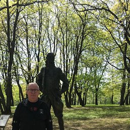 , 65 , 