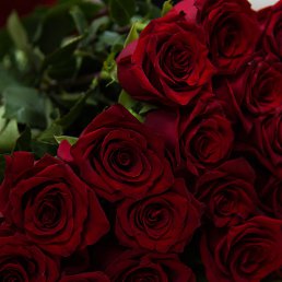 ���� ��������, ������, 40 ��� - ��������� 1 ������� 2025