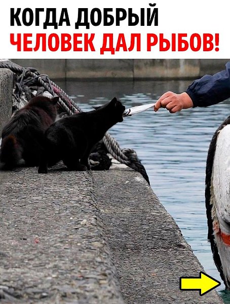 � ��� ��������� ����� �����, ��� ��� ���