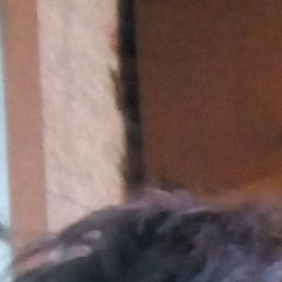 �����, ������������, 40 ���