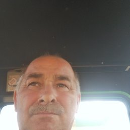 , 57, 