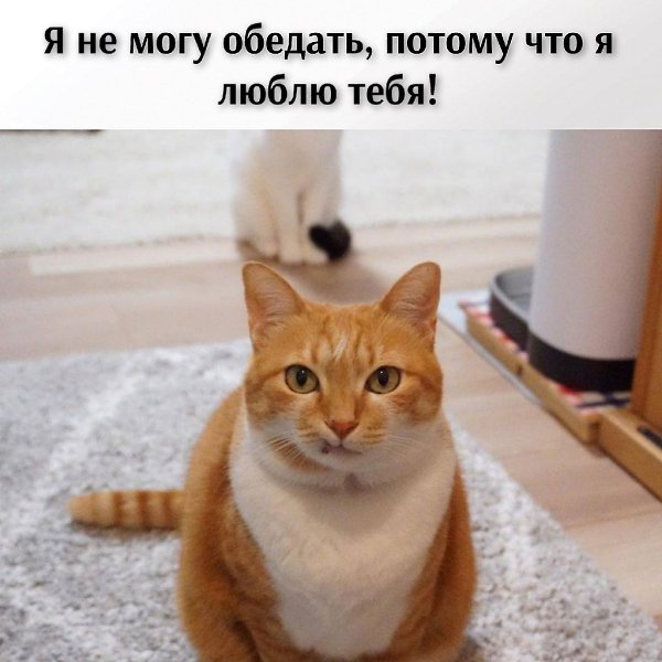 ��� ���� � ����� �� �� - 27 ������ 2026 � 12:42 - 2