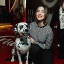 ���� �����, �������, 28 ��� - ��������� 11 ������� 2025 � ������ ���� ����������