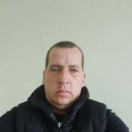 , 41,  
