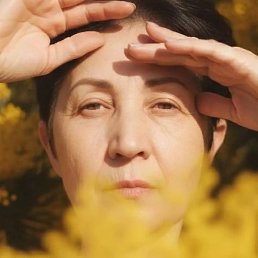 ����, ����������