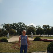 , 50 , 